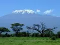 Kilimandjaro : altitude, pays et ascension