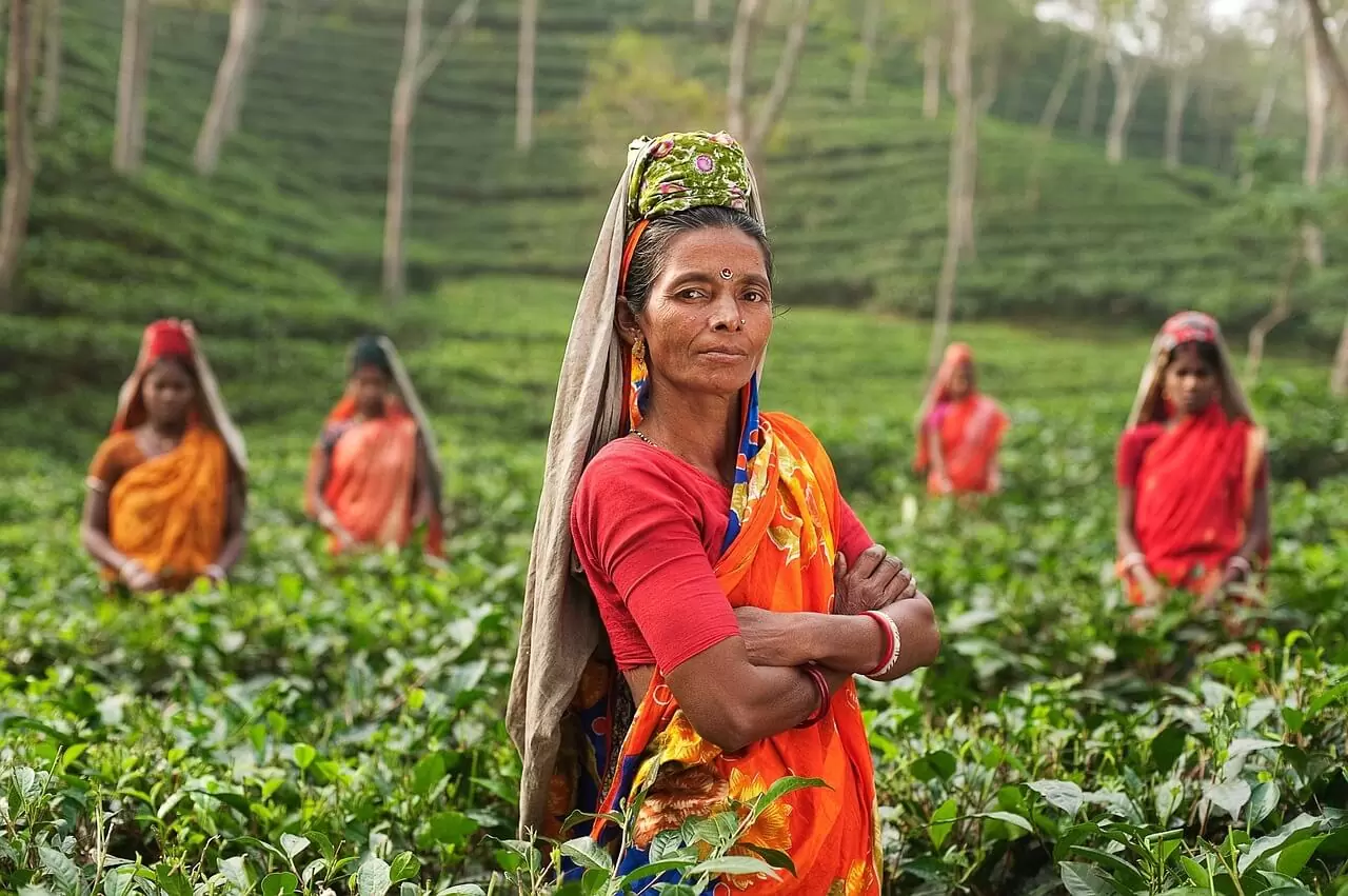 L'Inde le meilleur endroit pour apprendre le yoga ?