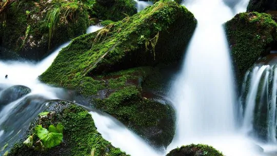 Chutes d'Iguazu côté brésilien : 5 secrets pour éviter la foule