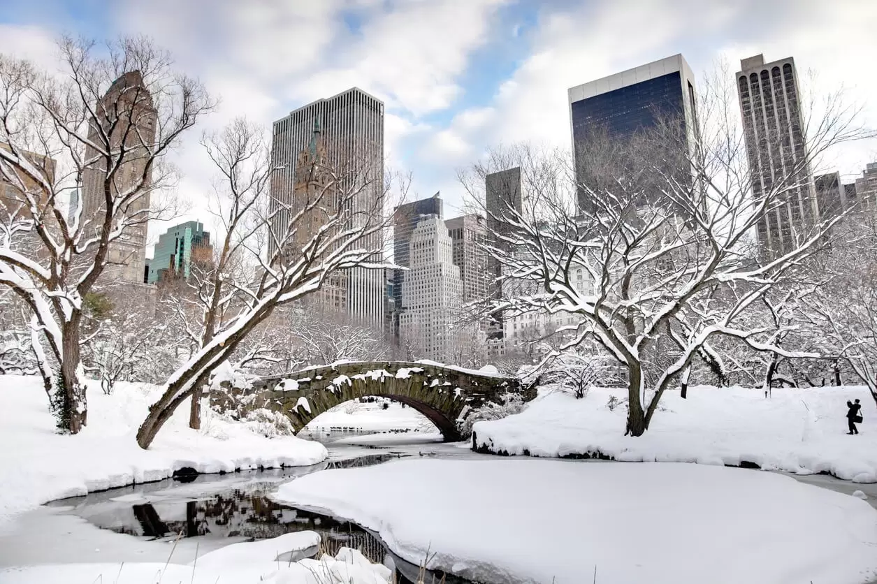 6 raisons d'aller à New-York en hiver