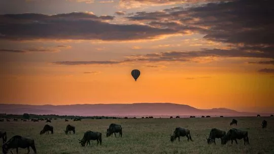 Organiser un circuit Tanzanie-Zanzibar inoubliable