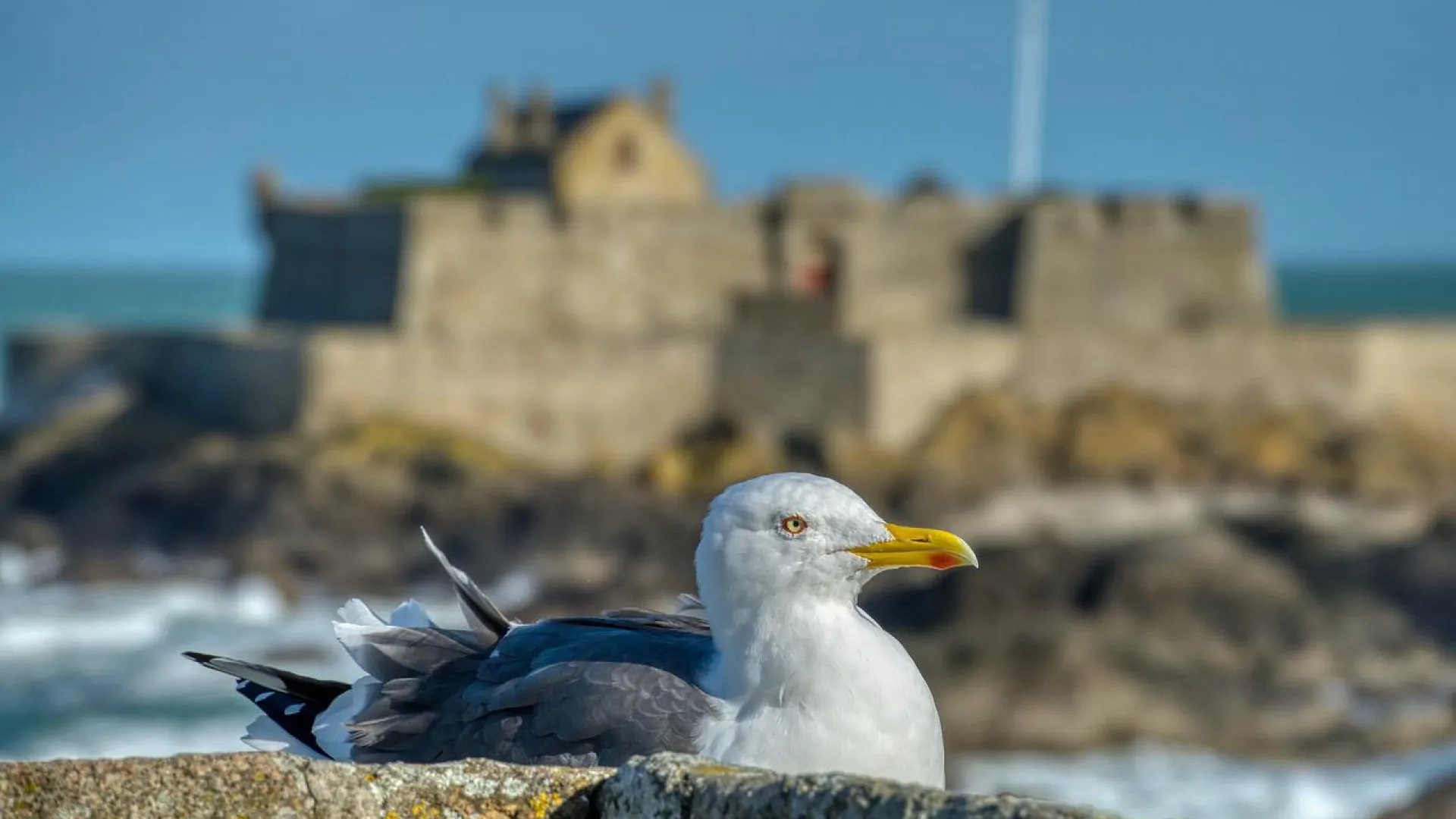 Partez dès maintenant en vacances à Saint-Malo