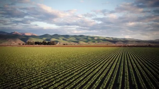 Investir dans un Groupement Foncier Agricole, nouvelle opportunité patrimoniale ?