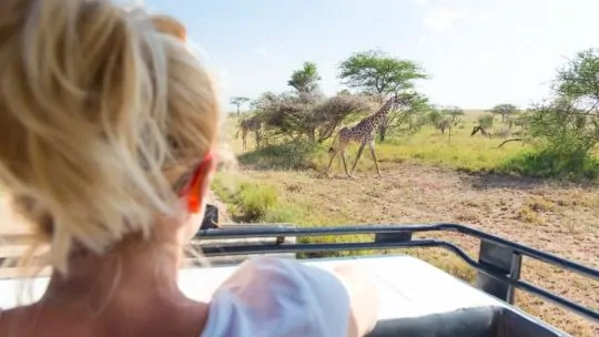 Safari économique en Afrique du Sud : comment respecter vos contraintes budgétaires ?