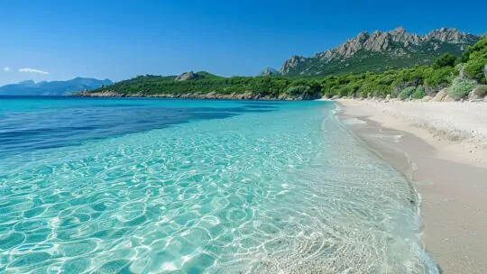 Ces plages paradisiaques de Corse qui font oublier les Caraïbes