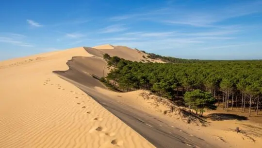 La Dune du Pilat et ses 103 mètres de pur frisson : LE spot de Gironde qui offre la vue la plus folle d'Europe !