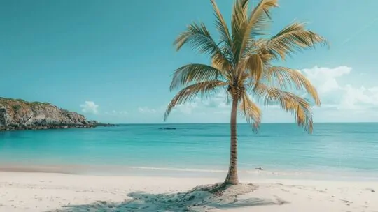 La plage de l'île Vierge vous réserve une surprise tropicale en Bretagne