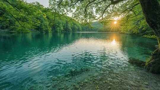 Lac de Laprade : l'oasis secrète qui fait oublier la Côte d'Azur