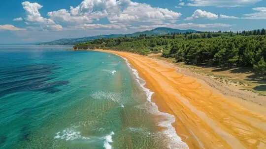 Plages de Tarnos : paradis landais méconnu à 30 min de Biarritz