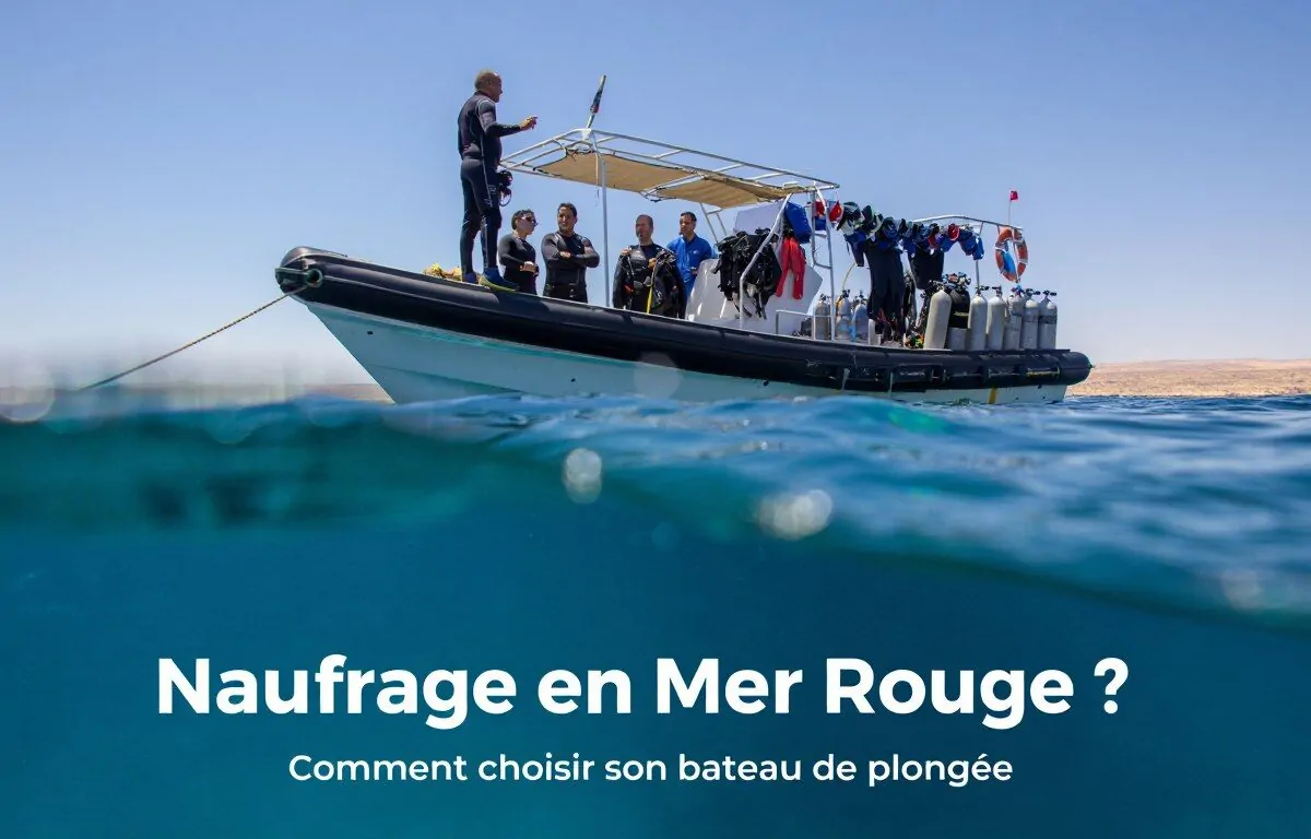 Naufrage en mer Rouge : comment choisir son bateau de plongée sans risquer sa vie ?