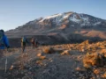 Ascension du Kilimandjaro : parcours, difficulté et prix