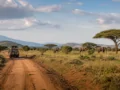 Circuit au Kenya : itinéraires de 7, 10 ou 14 jours