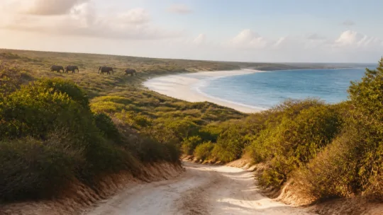Safari au Kenya et plage : itinéraire et budget