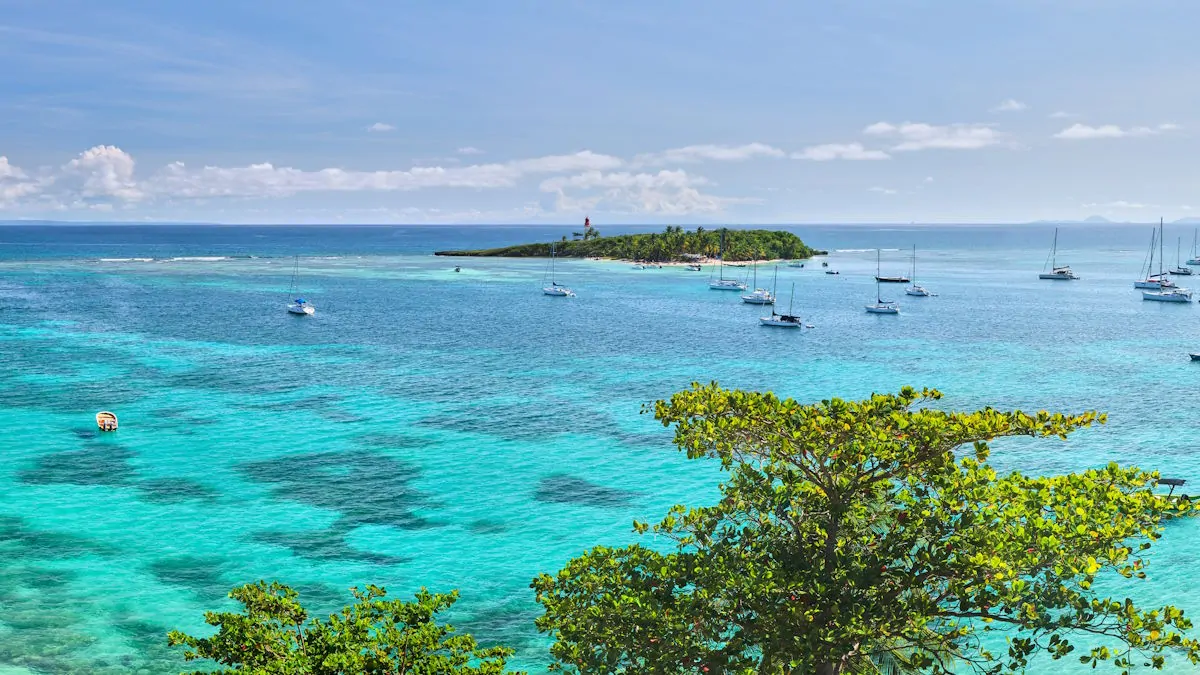 Voiliers au mouillage autour d’un petit îlot tropical, dans un lagon aux eaux turquoise.