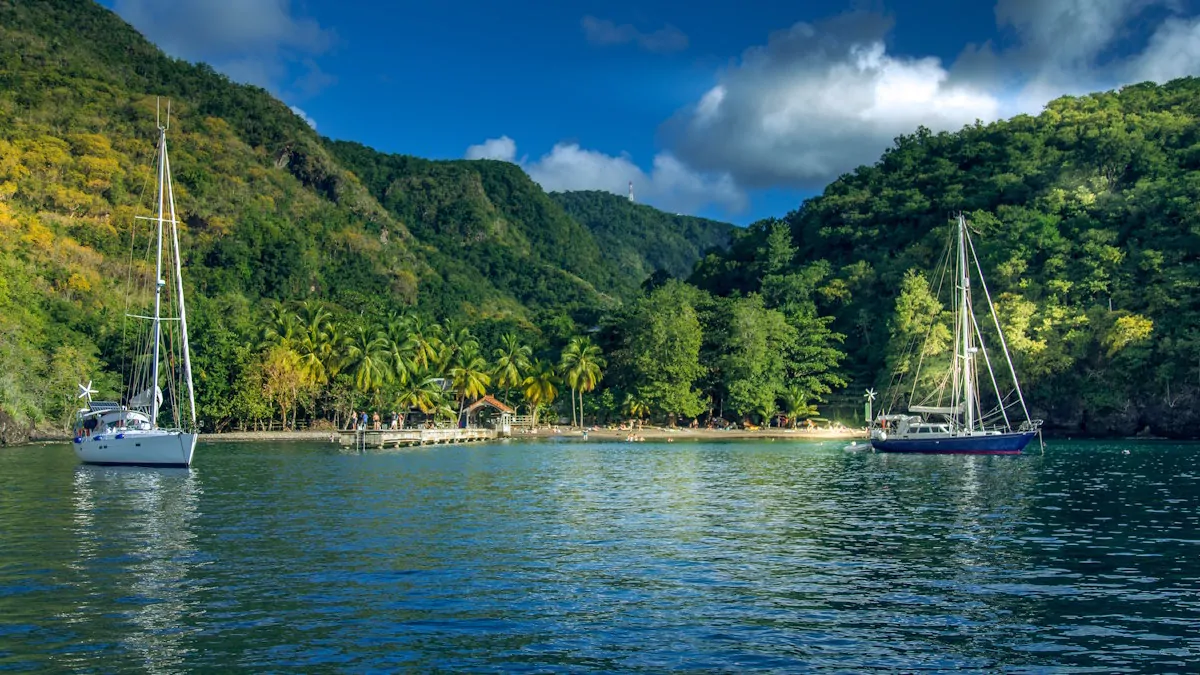 Deux voiliers au mouillage dans une baie tropicale entourée de collines verdoyantes et de palmiers.